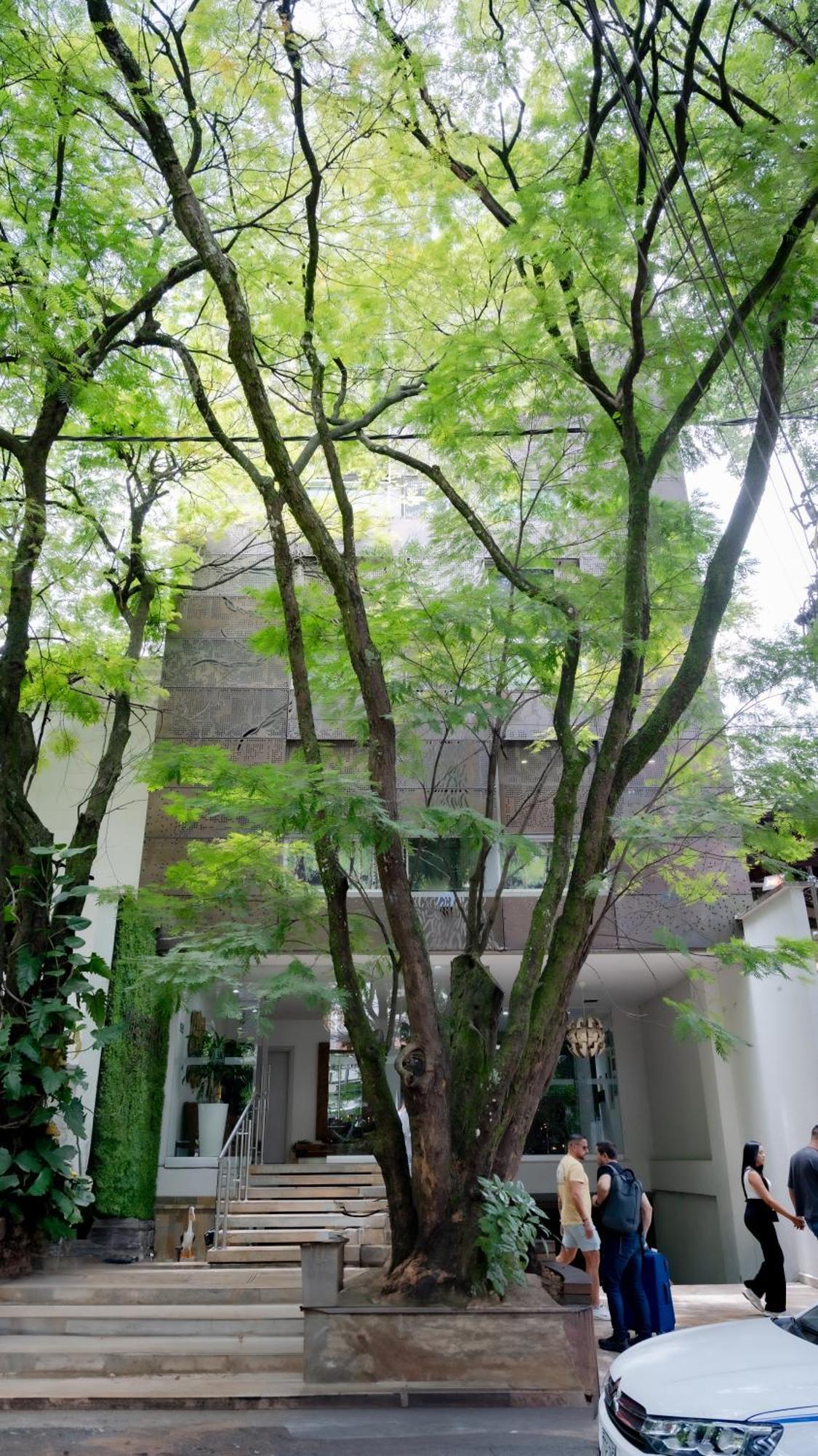 Hotel Madeiro Medellin Exterior photo